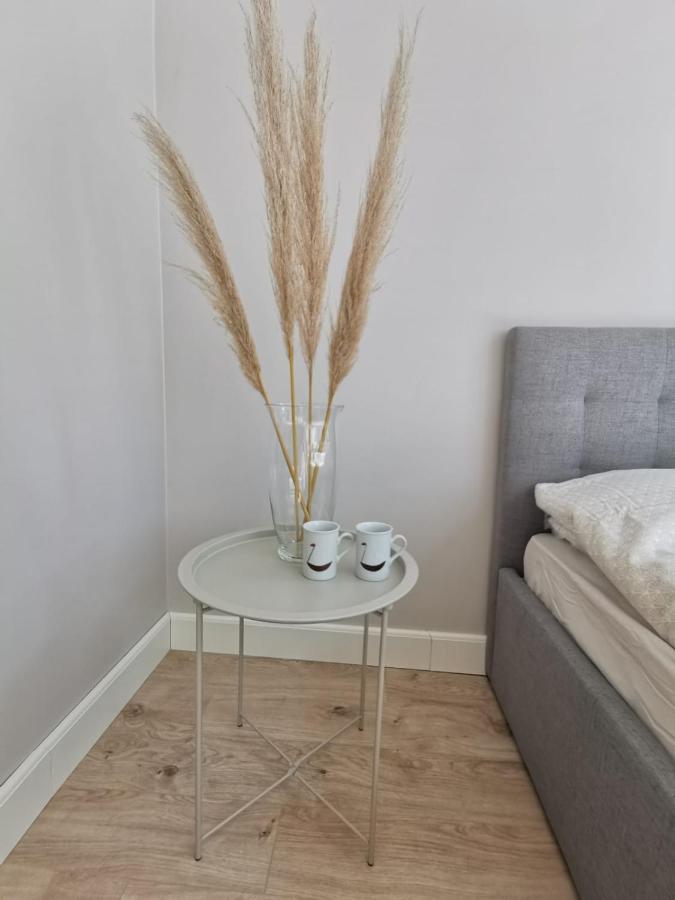 טרטו Tolstoi Scandinavian 1 Bedroom Apartment + Free Parking מראה חיצוני תמונה